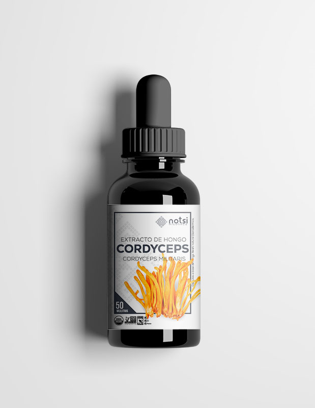 extracto_hongo_cordyceps
