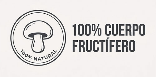 notsi_0004_Mushroom_icon_illustration_20261008174841